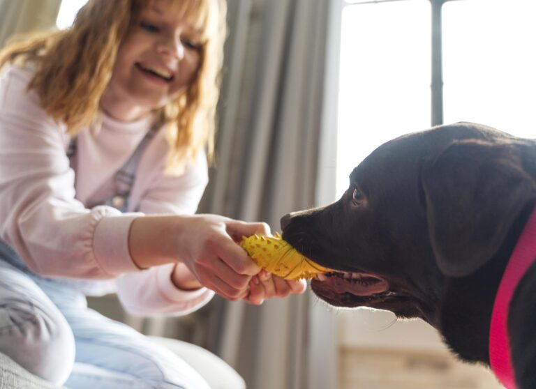 can dogs eat egg shells