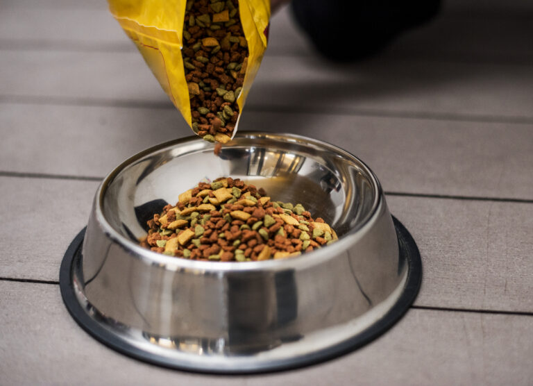 unsafe foods for dogs