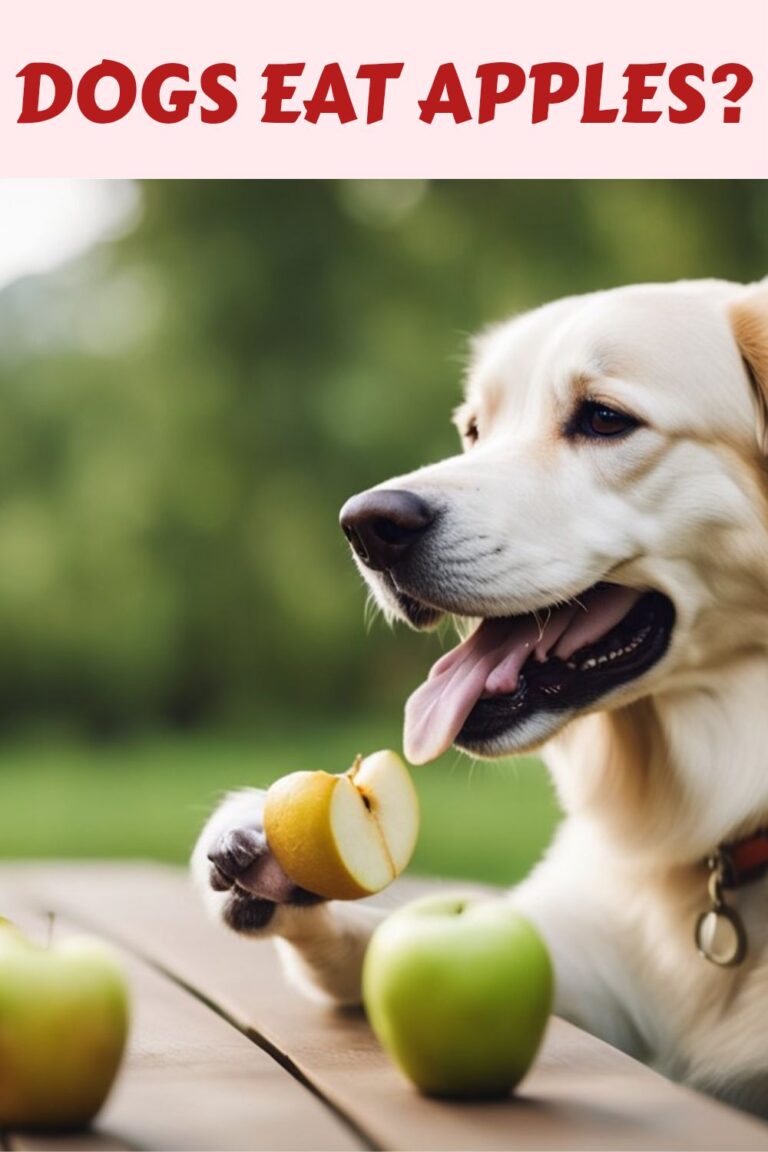 CAN DOGS EAT APPLES